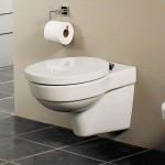 Twyford Encore Wall Hung Toilet and Seat