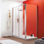 Premier Pacific 1700mm Double Sliding Shower Door
