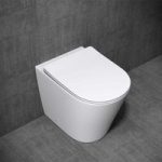 Open Rim Back To Wall Ceramic D Shaped Toilet With Slim Soft Close Seat | Aachen 3178