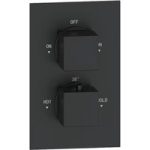 Black 2 Outlet Concealed Thermostatic Shower Valve with Dual Control – Zana